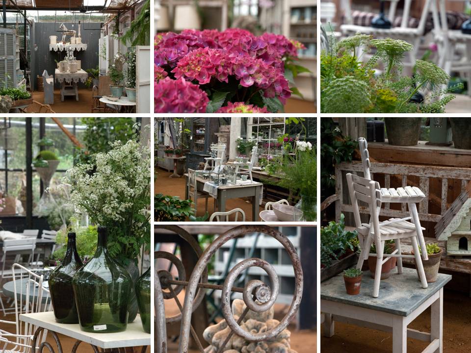 preview evening at the new garden shop at petersham nurseries