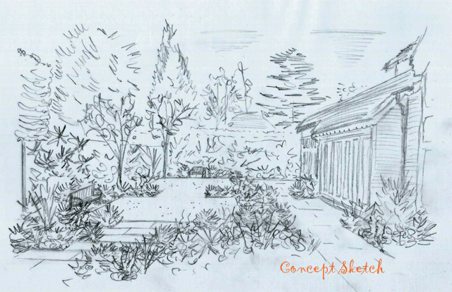 From the drawing board: Concept sketches for a garden in Woking | Lisa