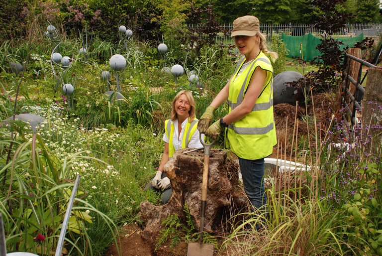 Volunteering at Hampton Court Place Flower Show The WWF Garden in the