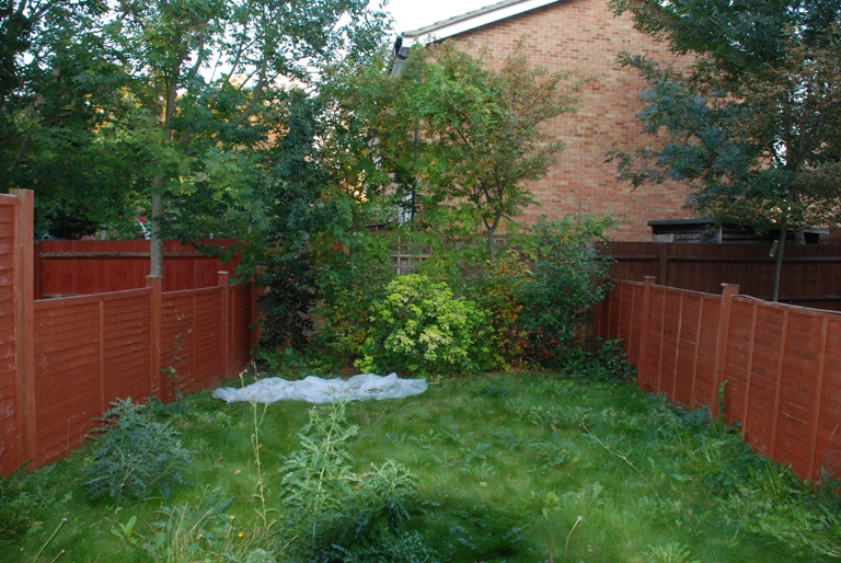 Back garden 2