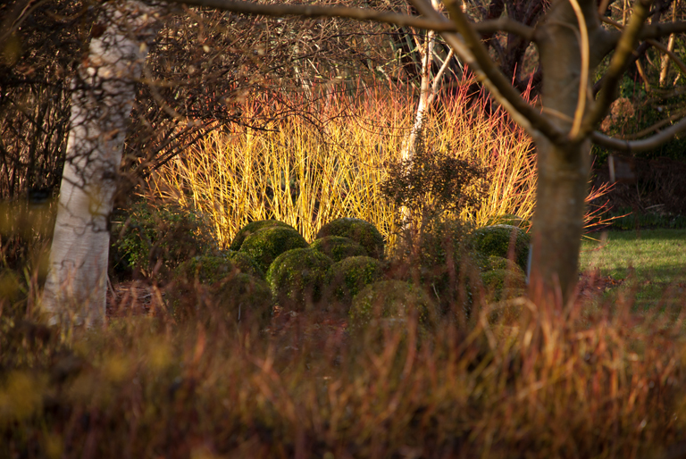 Sir Harold Hillier Garden