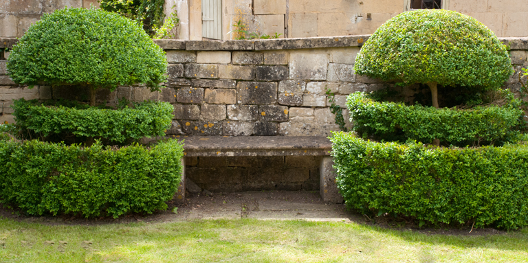Box topiary and stone bench in Box, Wiltshire