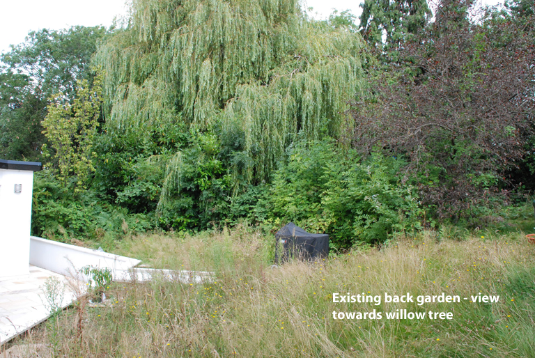 Existing Leatherhead garden - view towards willow tree