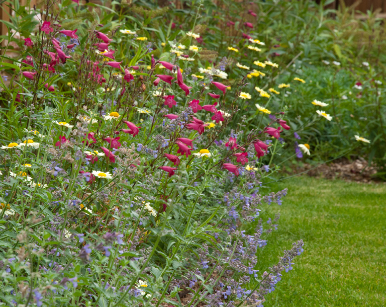 Planting at Leatherhead garden design project