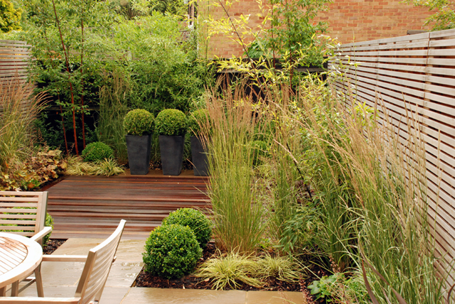 Contemporary garden design for a modern mews house Sutton `