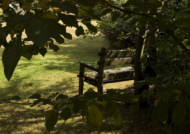 Grandpa's bench by RozSheffield Flickr image