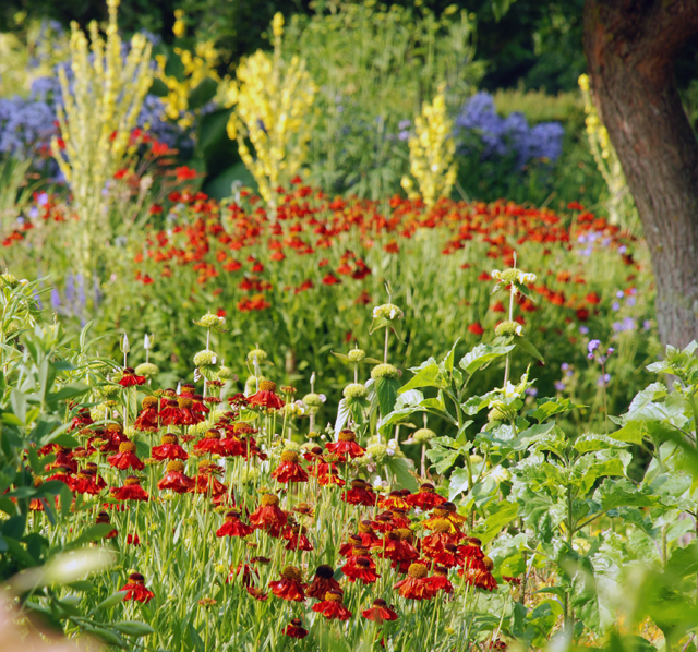 The Flower Garden at Loseley Lisa Cox Designs