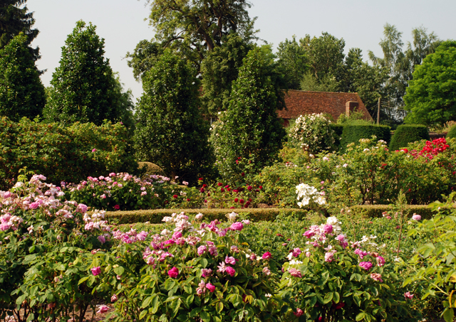 A glorious morning at Loseley Park - The Rose, Herb and Organic ...