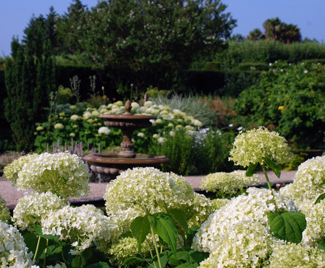 White garden at Loseley Lisa Cox Designs