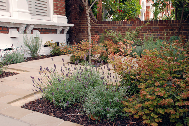 Front garden design London Lisa Cox