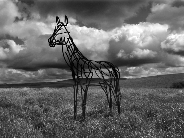 Howgills Stallion sculpture by Andrew Kay
