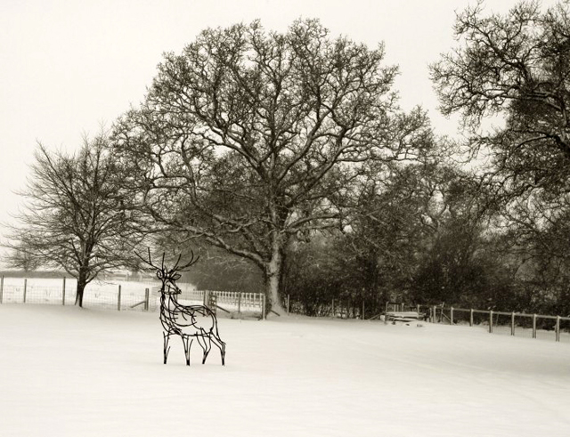 Stag in the snow by Andrew Kay Sculpture