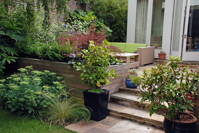 Wansworth terrace by Lisa Cox Garden Designs