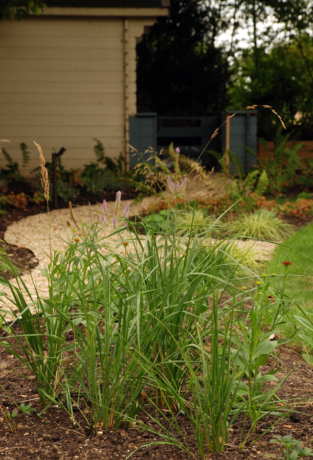 informal path to summerhouse East Horsley Garden Design Lisa Cox