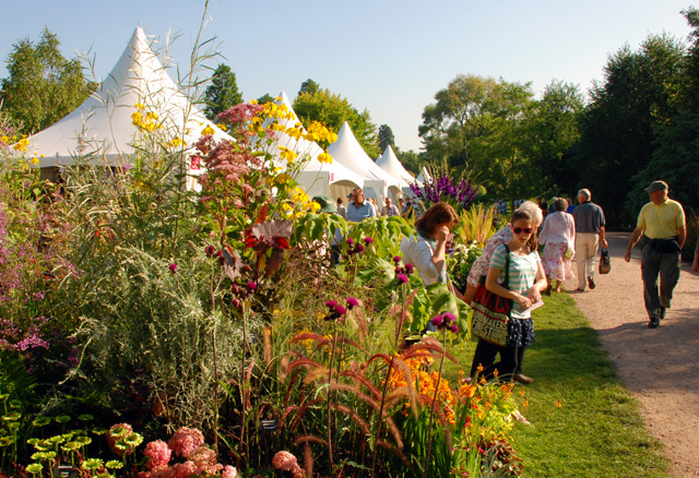 RHS Wisley Flower Show 2013 Lisa Cox