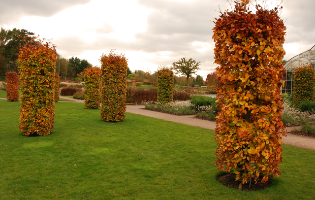 RHS Garden Wisley in Autumn Lisa Cox Designs