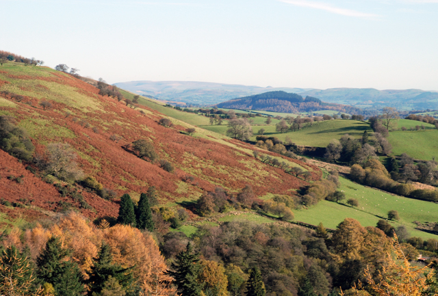 The Welsh hills Lisa Cox Garden Designs