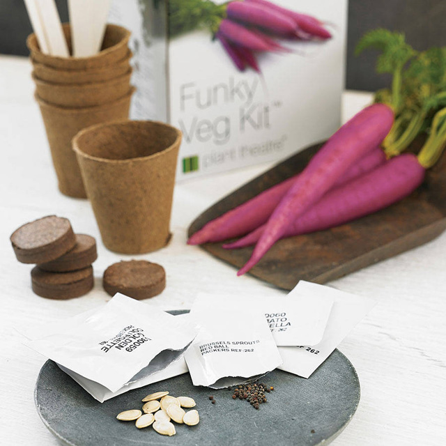 Funky veg kit from Not on the high street