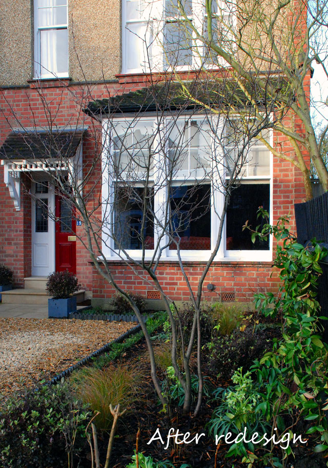 Front garden in Muswell Hill after redesign Lisa Cox Designs