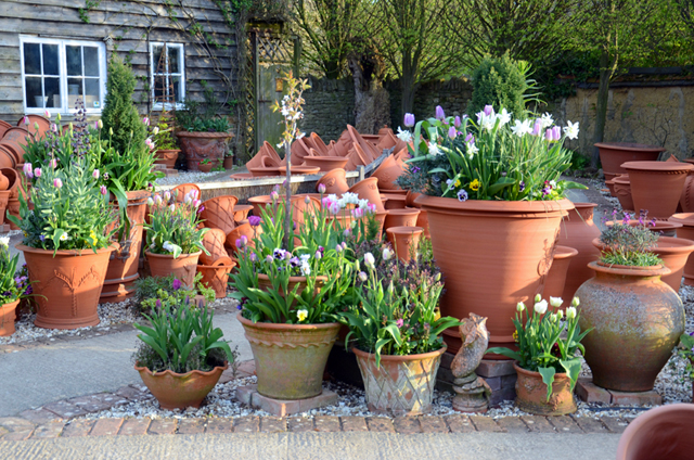 terracotta pots  Lisa Cox Garden Designs  Blog