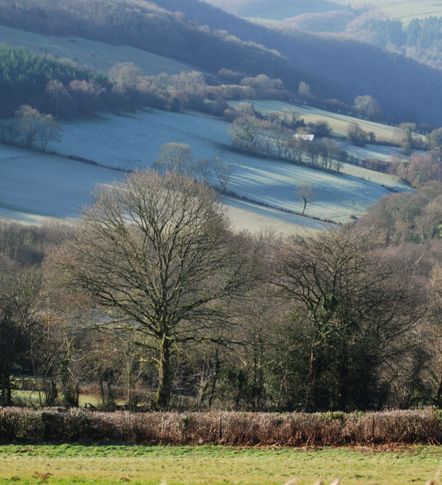 Wye valley in Winter Lisa Cox Garden Designs