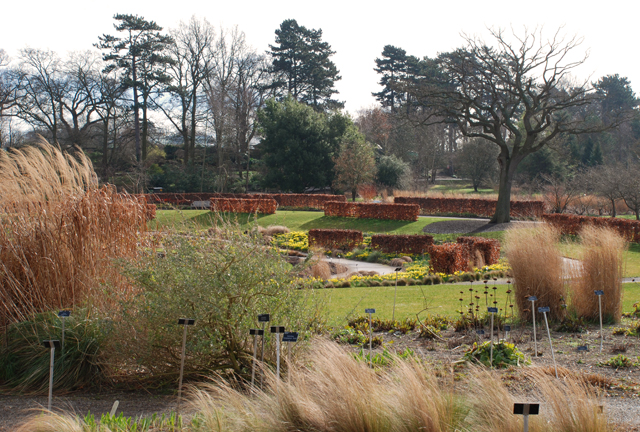 RHS Garden Wisley by Lisa Cox