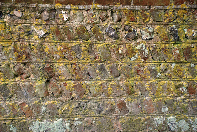 Sussex Flint and brick wall Lisa Cox Garden Designs