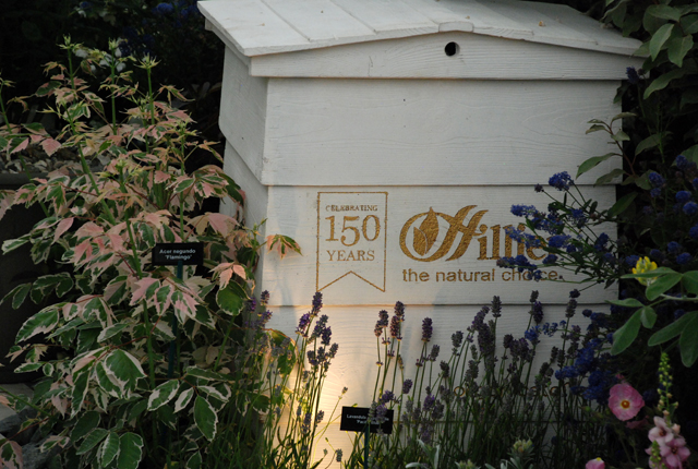 150 years of Hilliers RHS Chelsea 2014 exhibit Lisa Cox