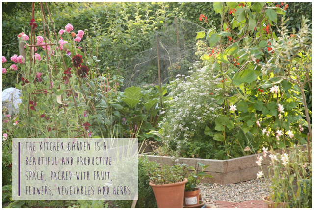 Fiona-Humberstone-English-Garden-Lisa-Cox-Designs_015