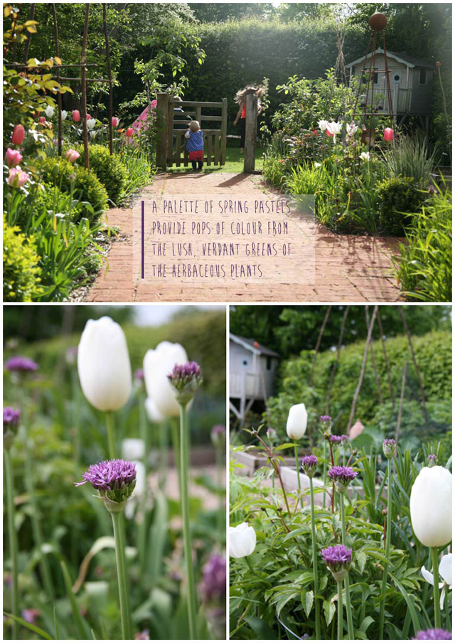 Fiona-Humberstone-English-Garden-Lisa-Cox-Designs_017