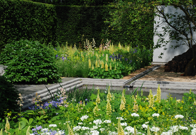 Laurent Perrier Garden Chelsea Flower Show 2014 Lisa Cox