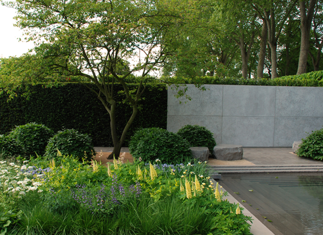 Laurent Perrier Garden at Chelsea 2014 Lisa Cox Designs