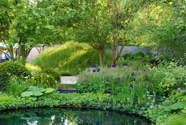 RHS Chelsea No Man's Land garden Lisa Cox Designs