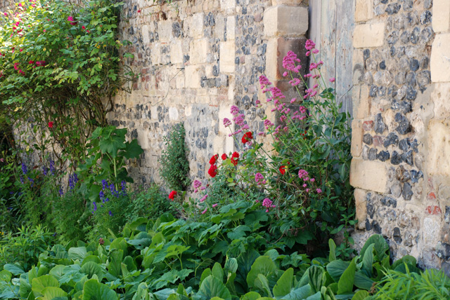 Flint & Stone wall with spring planting Lisa Cox Designs