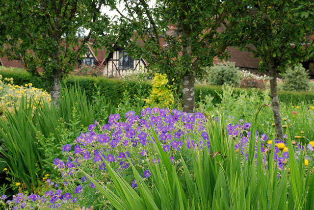 Flower garden at Loseley Lisa Cox Designs