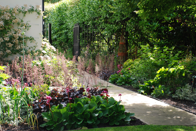 Side access in Oxshott Garden Lisa Cox Designs