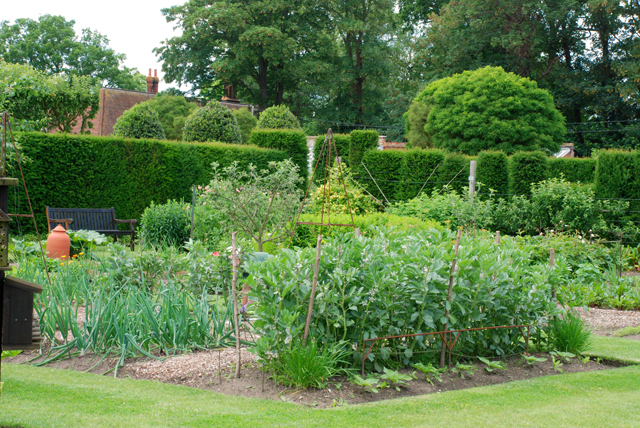 Vegetable garden at Loseley Park Lisa Cox designs