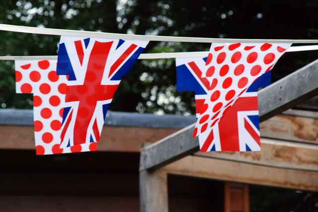 Le Tour de France bunting Lisa Cox Garden Designs