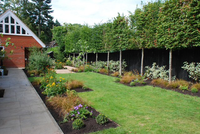 Back garden after planting Woking Lisa Cox Designs
