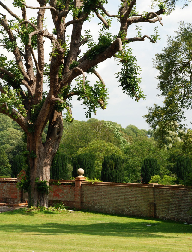 Glyndebourne Manor garden Lisa Cox Designs - Copy