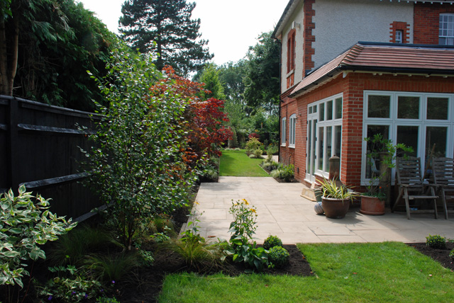 Woking garden after planting Lisa Cox Designs