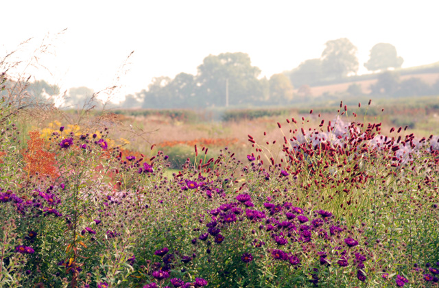 Hauser Wirth Garden Somerset Lisa Cox Designs