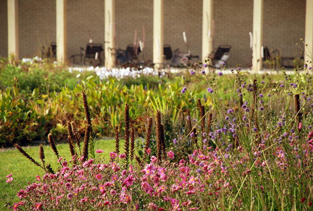 Hauser Wirth garden Lisa Cox Designs