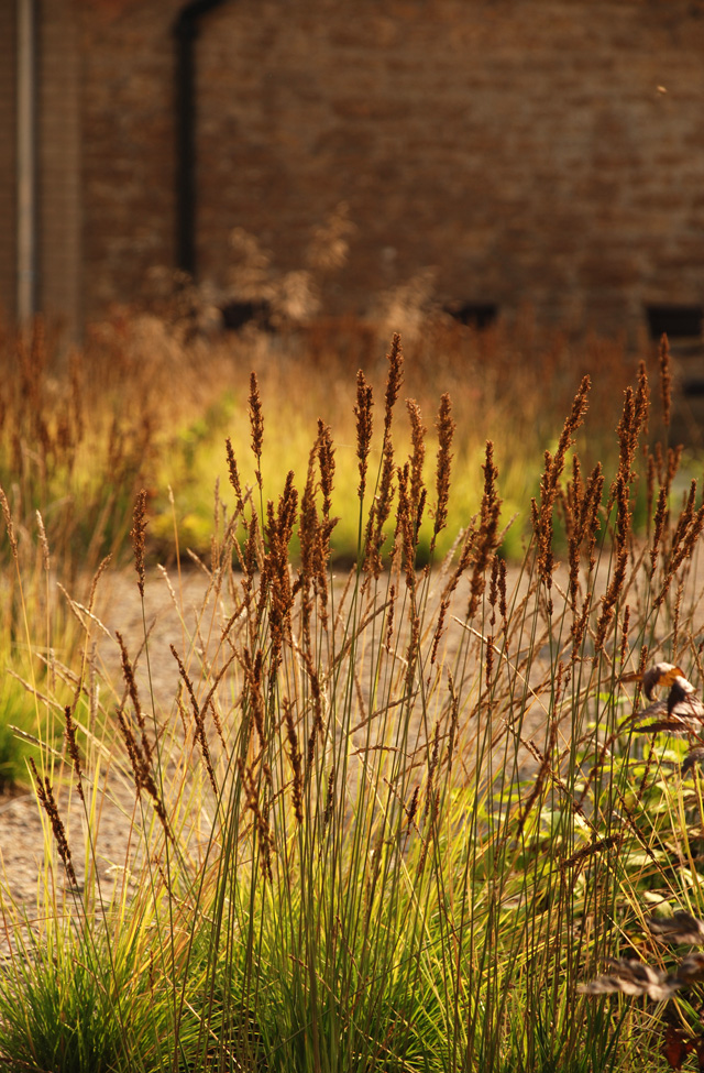 Inner courtyard Hauser Wirth Somerset Lisa Cox Designs