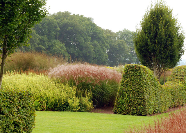 Miscanthus at Sussex Prairies Lisa Cox Garden Designs