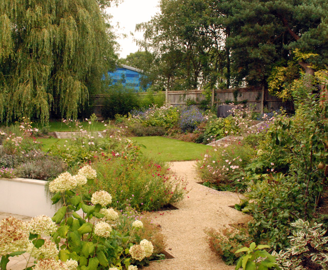 One year on Leatherhead garden Lisa Cox Designs