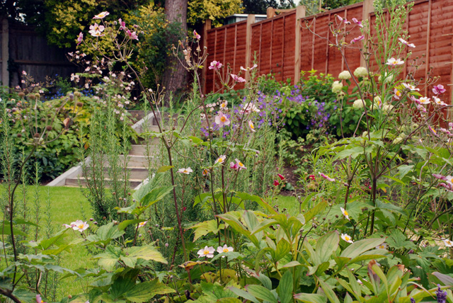 Planting in Leatherhead garden after one year Lisa Cox Designs