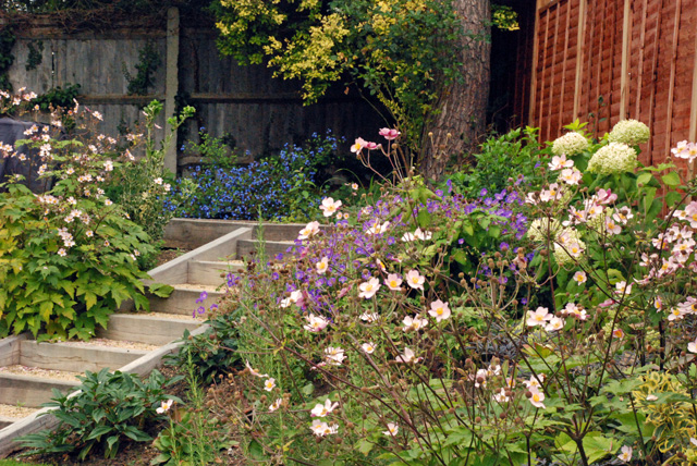 Sleeper steps in Leatherhead garden Lisa Cox Designs