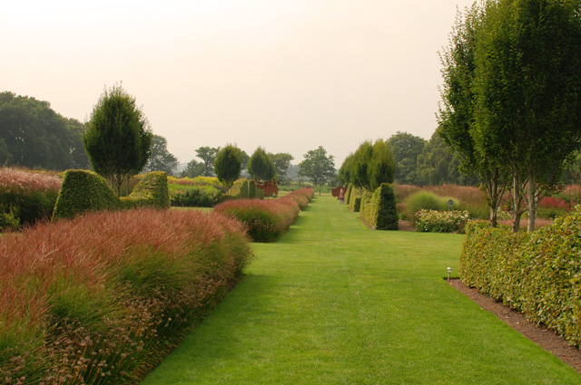 Sussex Prairies Lisa Cox Garden Designs