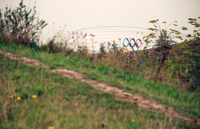 The Olympic Rings Lisa Cox Garden Designs